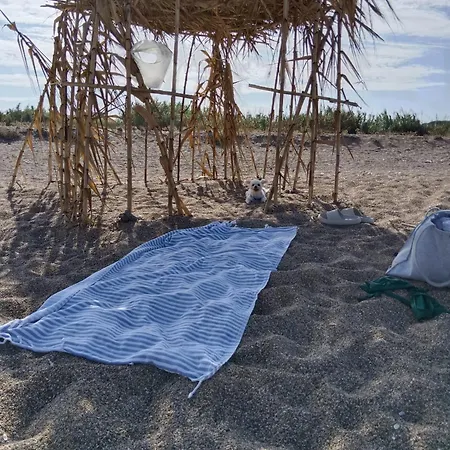 Penelia Next To Golf Courses