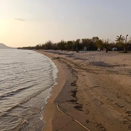 Penelia Next To Golf Courses * Romanu