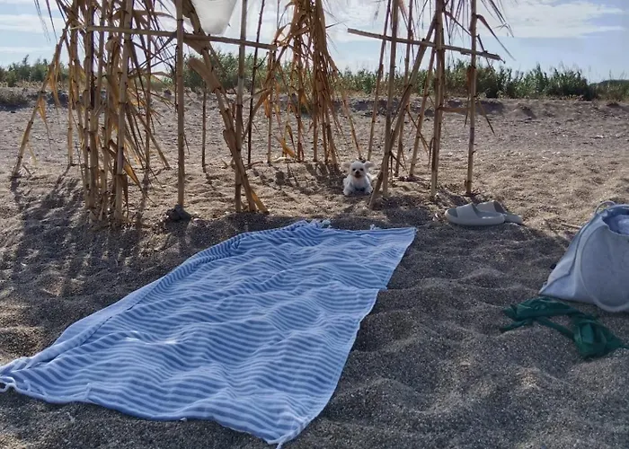 Penelia Next To Golf Courses